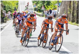 免费网络电话呼叫系统